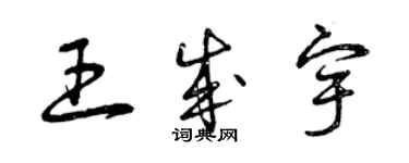 曾庆福王成宇草书个性签名怎么写