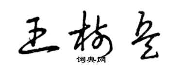 曾庆福王树兵草书个性签名怎么写