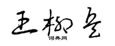 曾庆福王柳兵草书个性签名怎么写