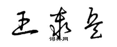 曾庆福王秦兵草书个性签名怎么写
