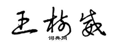 曾庆福王树威草书个性签名怎么写