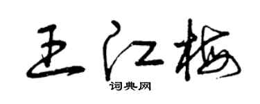 曾庆福王江梅草书个性签名怎么写