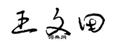 曾庆福王文田草书个性签名怎么写