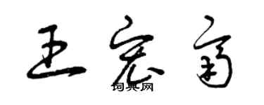 曾庆福王宏齐草书个性签名怎么写