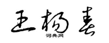 曾庆福王杨春草书个性签名怎么写