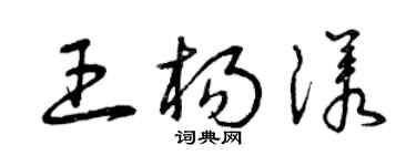 曾庆福王杨漾草书个性签名怎么写