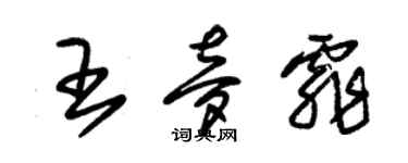 朱锡荣王梦霏草书个性签名怎么写