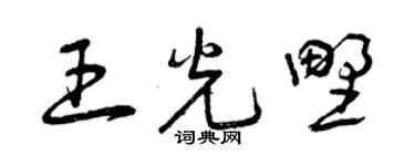 曾庆福王光野草书个性签名怎么写