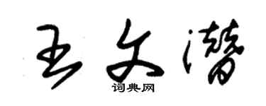 朱锡荣王文潜草书个性签名怎么写