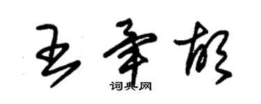 朱锡荣王毕胡草书个性签名怎么写