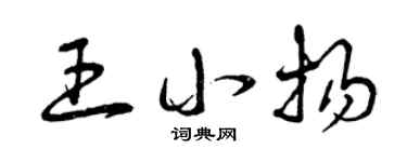 曾庆福王小扬草书个性签名怎么写