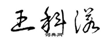 曾庆福王科诺草书个性签名怎么写