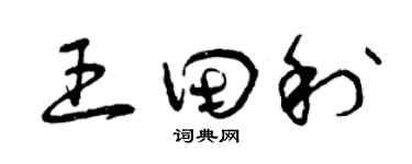 曾庆福王田利草书个性签名怎么写