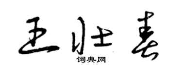 曾庆福王壮春草书个性签名怎么写