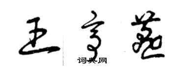 曾庆福王亭燕草书个性签名怎么写