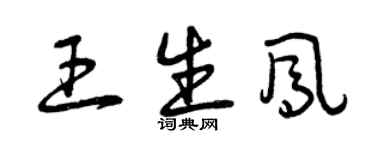 曾庆福王生凤草书个性签名怎么写