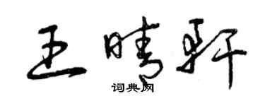 曾庆福王晴轩草书个性签名怎么写