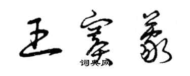 曾庆福王赛蒙草书个性签名怎么写