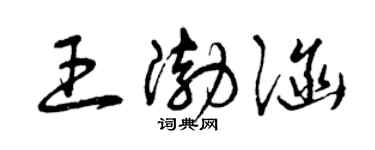 曾庆福王渤涵草书个性签名怎么写