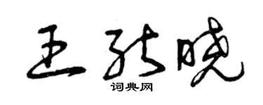 曾庆福王能晓草书个性签名怎么写