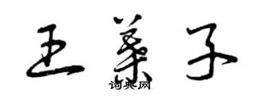 曾庆福王叶子草书个性签名怎么写
