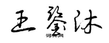 曾庆福王鉴沐草书个性签名怎么写