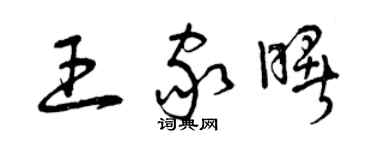 曾庆福王家曙草书个性签名怎么写
