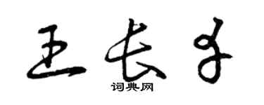 曾庆福王长幸草书个性签名怎么写