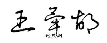 曾庆福王毕胡草书个性签名怎么写