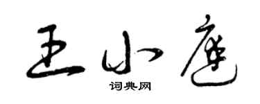 曾庆福王小庭草书个性签名怎么写