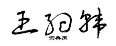 曾庆福王约韩草书个性签名怎么写