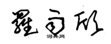 朱锡荣罗雨欣草书个性签名怎么写