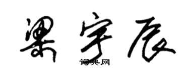朱锡荣梁宇辰草书个性签名怎么写
