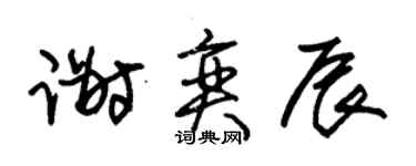 朱锡荣谢奕辰草书个性签名怎么写