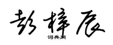 朱锡荣彭梓辰草书个性签名怎么写