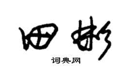 朱锡荣田彬草书个性签名怎么写