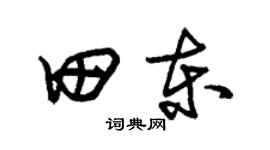 朱锡荣田东草书个性签名怎么写