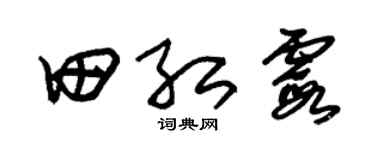朱锡荣田红霞草书个性签名怎么写