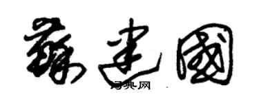 朱锡荣苏建国草书个性签名怎么写