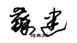 朱锡荣苏建草书个性签名怎么写