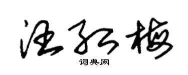 朱锡荣汪红梅草书个性签名怎么写