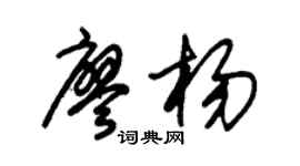 朱锡荣廖杨草书个性签名怎么写