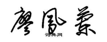 朱锡荣廖凤兰草书个性签名怎么写