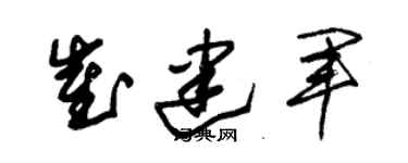 朱锡荣崔建军草书个性签名怎么写