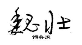 曾庆福魏壮草书个性签名怎么写