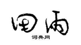 曾庆福田雨草书个性签名怎么写