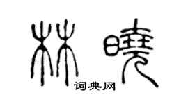 陈声远林晓篆书个性签名怎么写