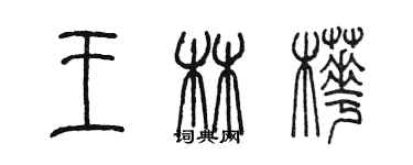 陈墨王林桦篆书个性签名怎么写