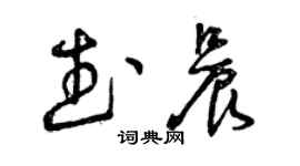 曾庆福武晨草书个性签名怎么写