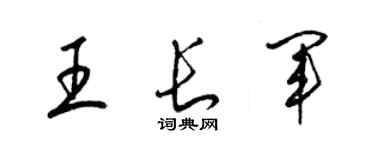 梁锦英王长军草书个性签名怎么写